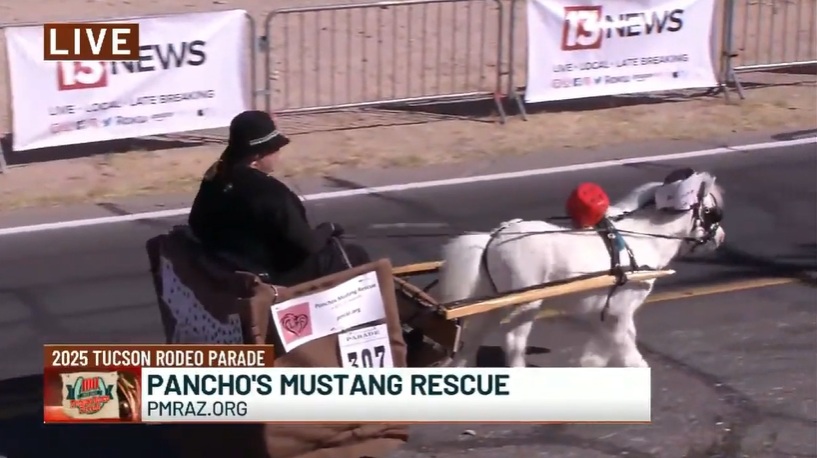 Tucson Rodeo Parade